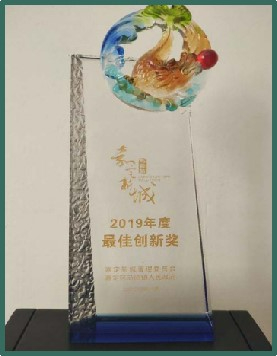嘉定新城2019年度最佳創(chuàng)新獎(jiǎng)