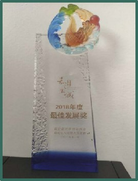 嘉定新城2018年度最佳發(fā)展獎(jiǎng)